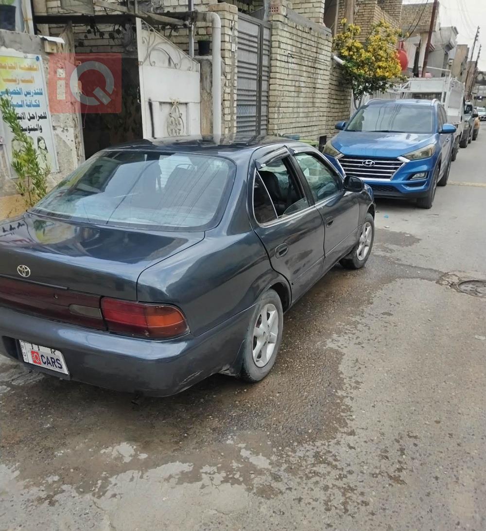 تويوتا كورولا